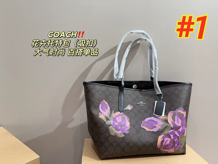 Coach 3766