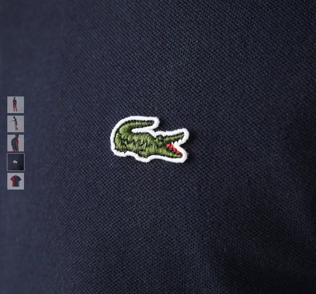 Lacoste 4155 תמונה 18