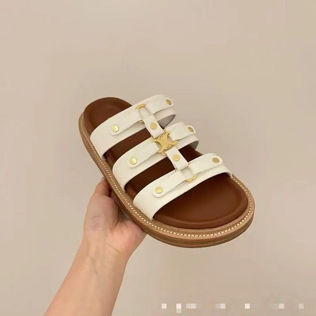 Celine 4571 תמונה 4