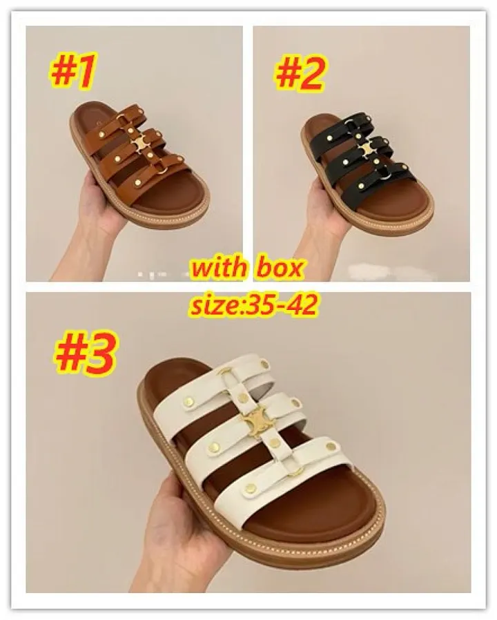 Celine 4571