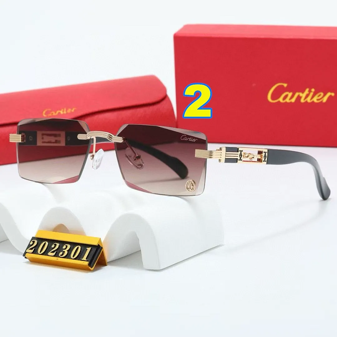 Cartier 4646 תמונה 5