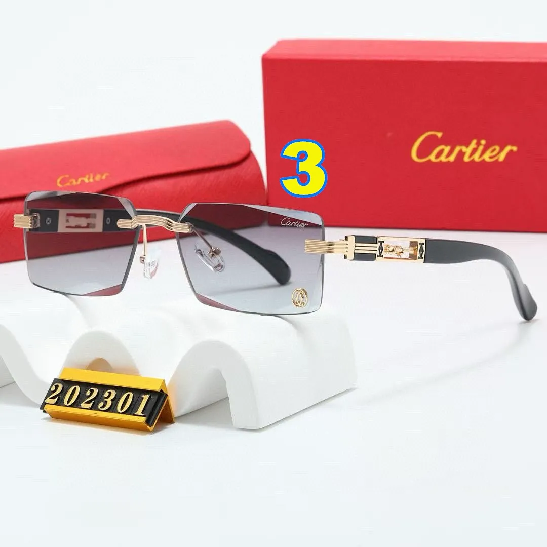 Cartier 4646 תמונה 6