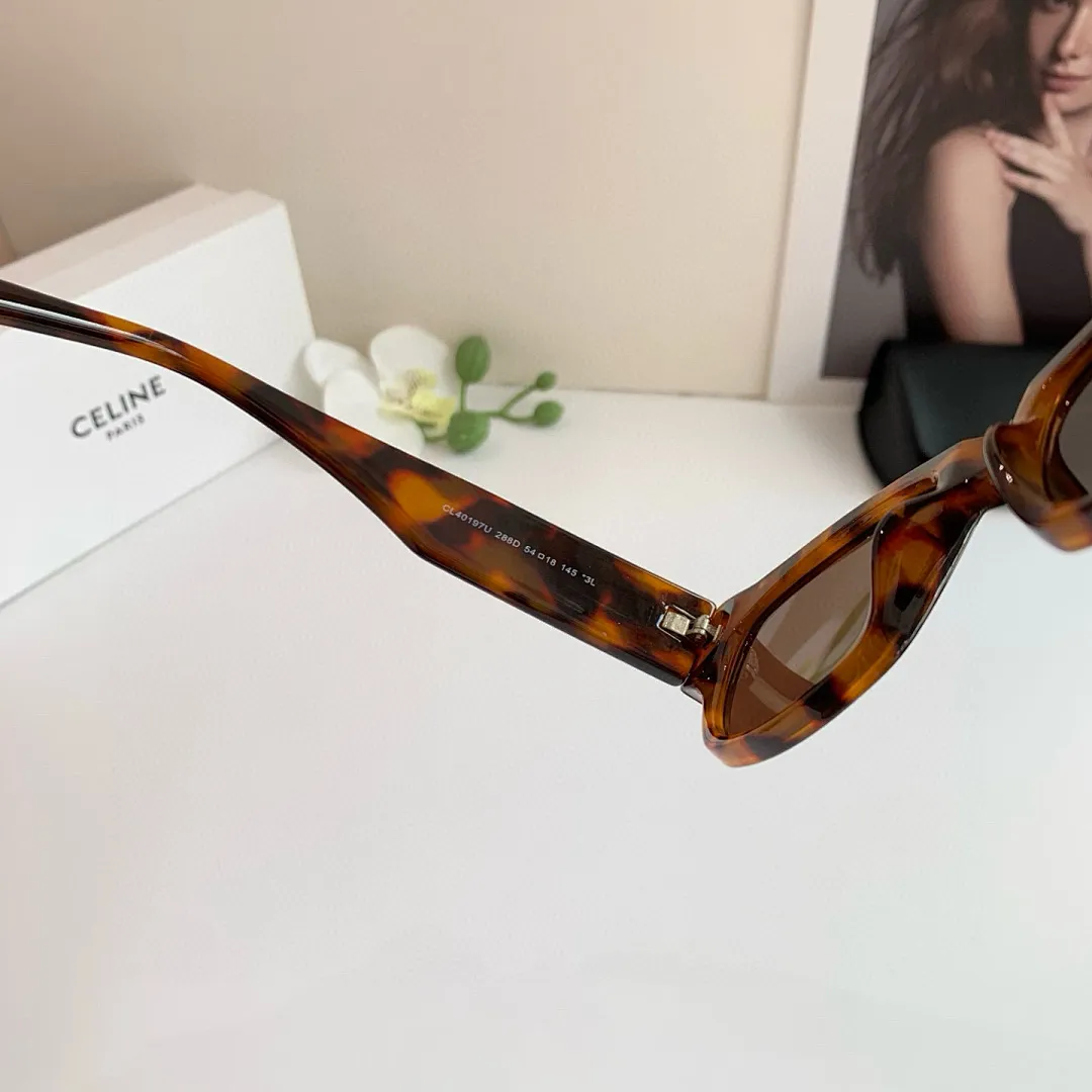 Celine 4762 תמונה 17