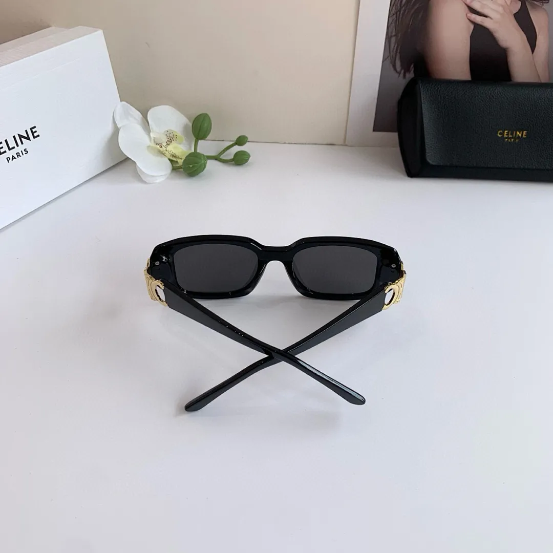 Celine 4764 תמונה 22