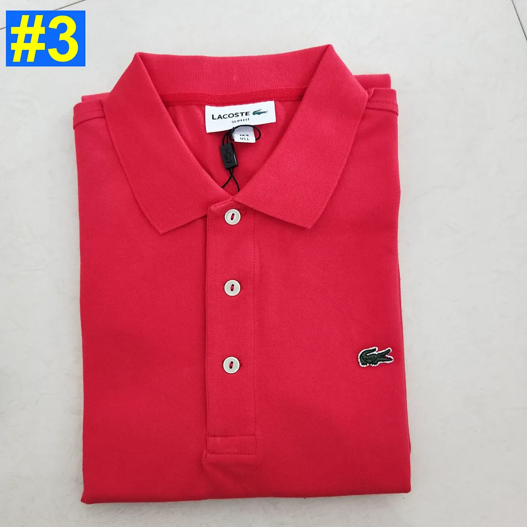 Lacoste 4799 תמונה 6