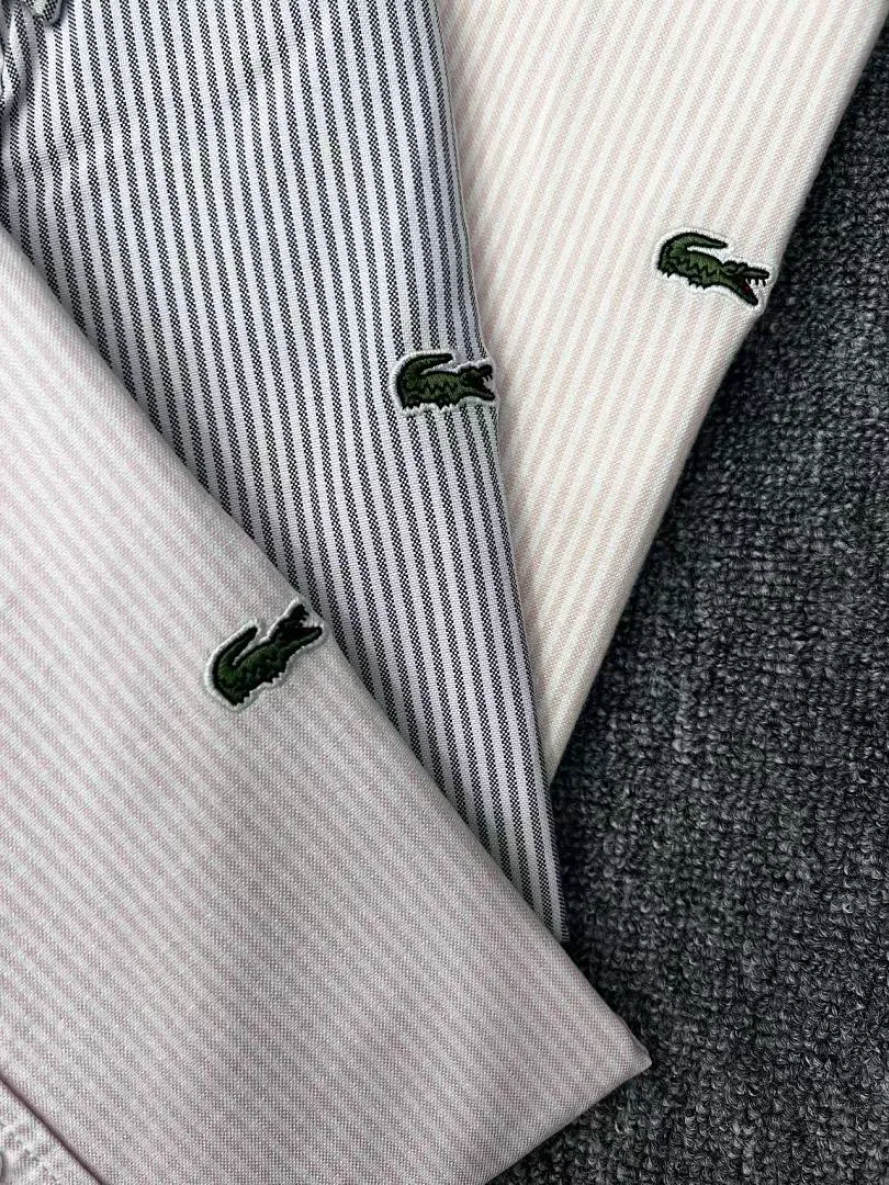 Lacoste 4937 תמונה 3
