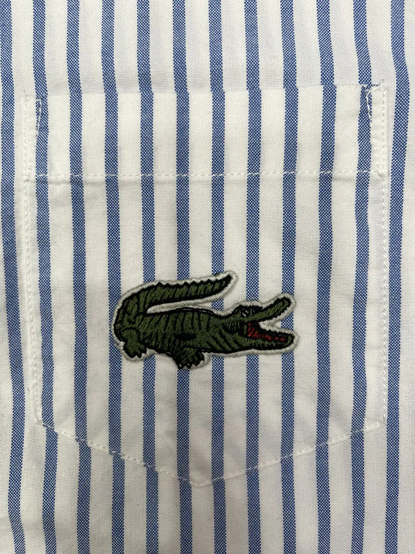 Lacoste 4996 תמונה 14