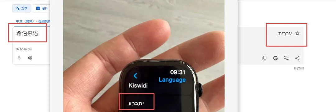 Apple 5632 תמונה 2