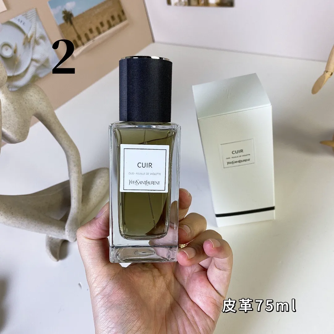YSL 5679 תמונה 8
