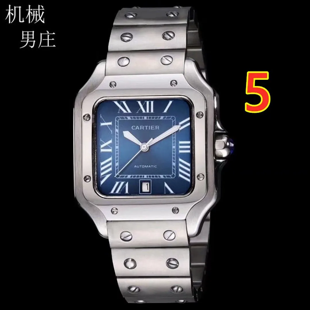 Cartier 5885 תמונה 26
