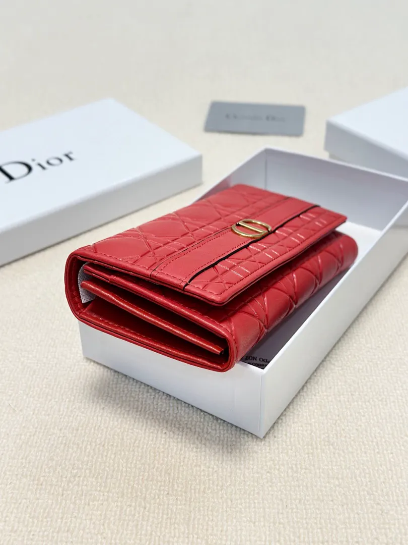 Dior 5917 תמונה 5