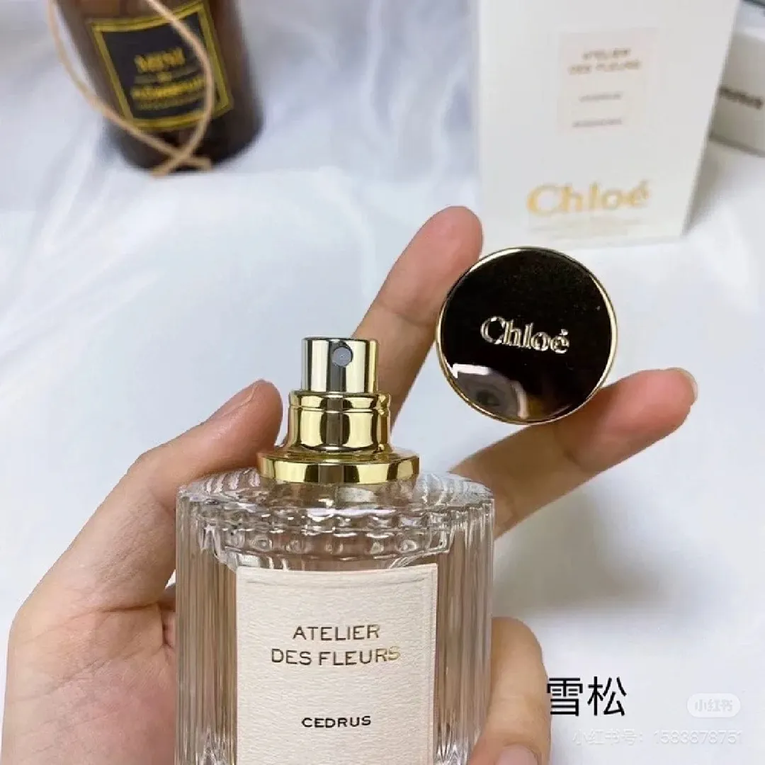 Chloe 5922 תמונה 7