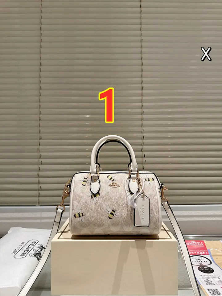 Coach 6013