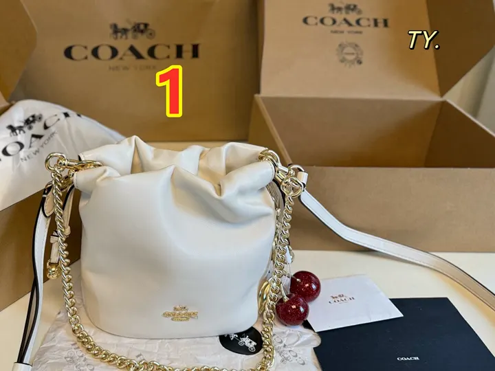 Coach 6094