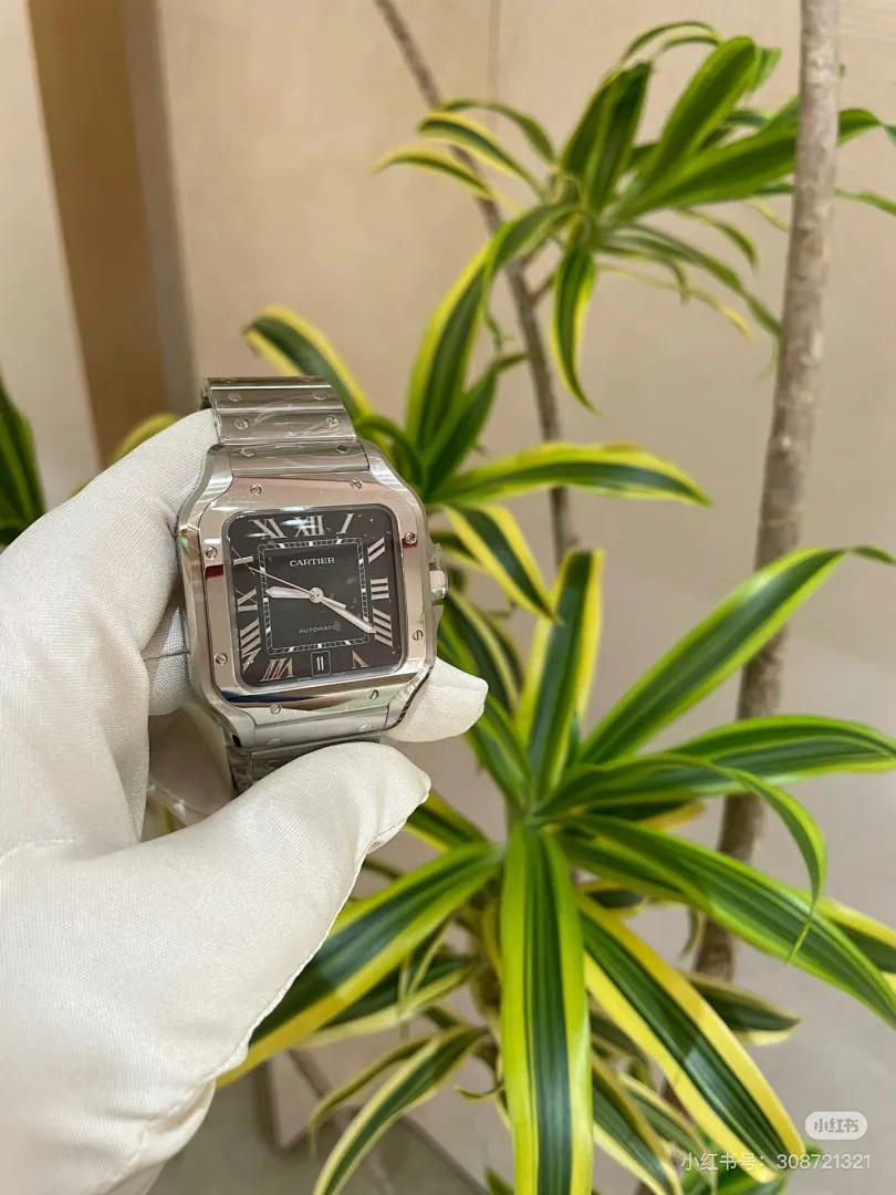 Cartier 6097 תמונה 31