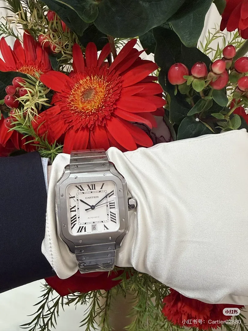 Cartier 6097 תמונה 35