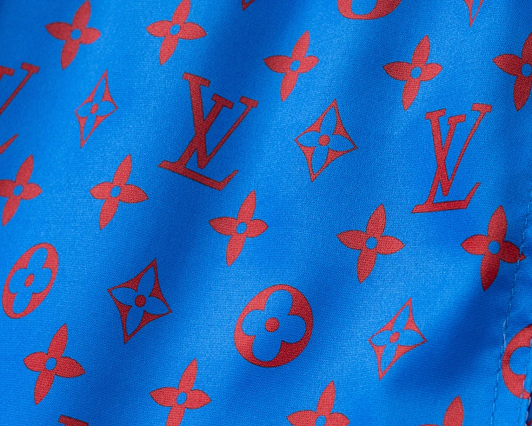 LV 6207 תמונה 19