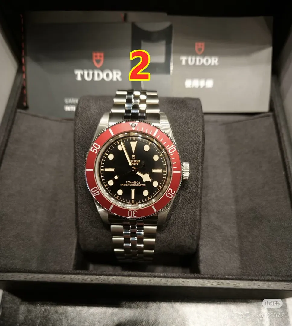 Tudor 6211 תמונה 2