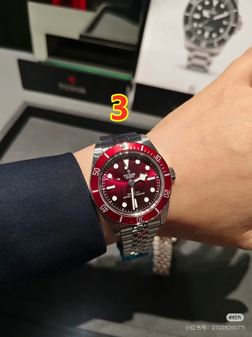 Tudor 6211 תמונה 3