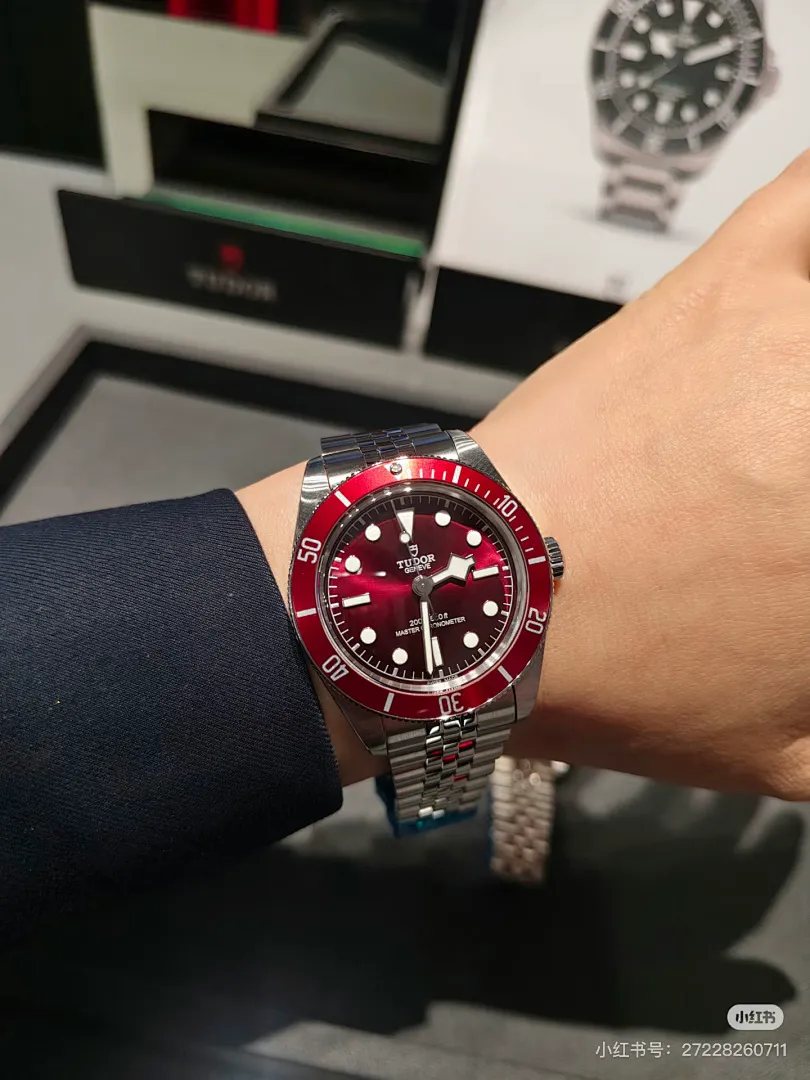 Tudor 6211 תמונה 6