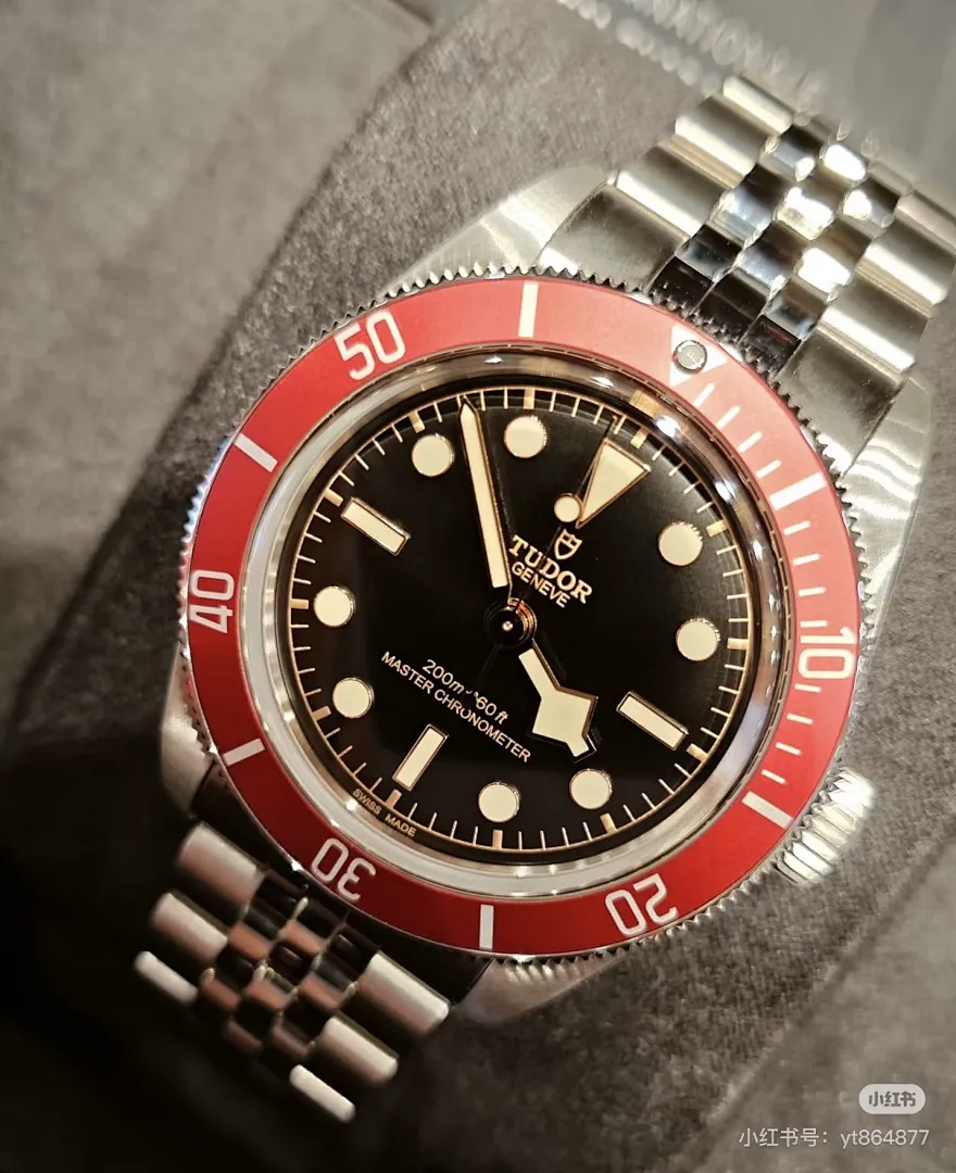 Tudor 6211 תמונה 8