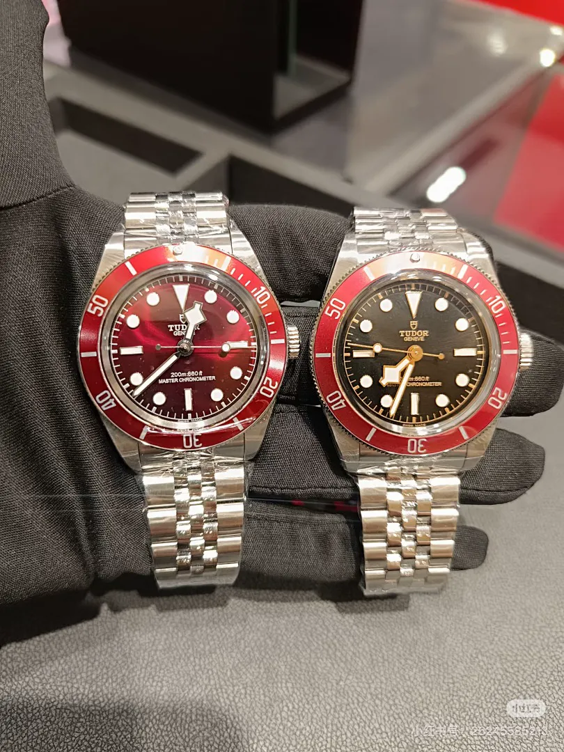 Tudor 6211 תמונה 9