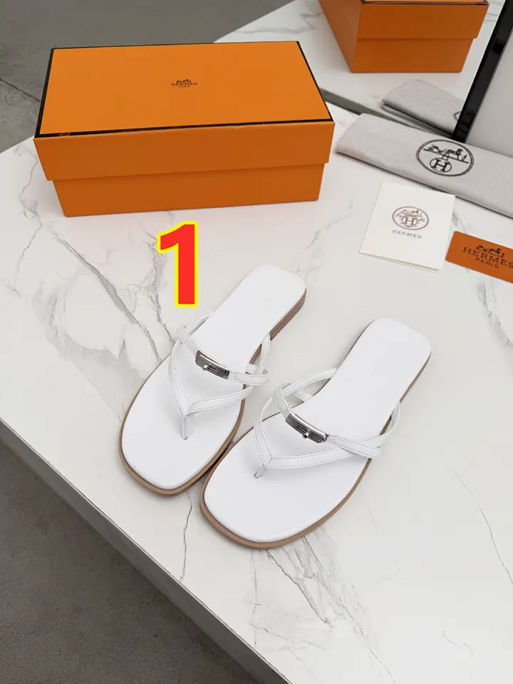 Hermes 6238