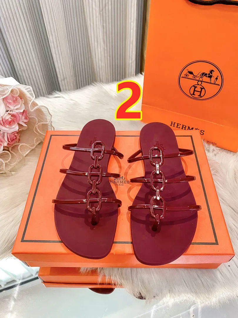 Hermes 6239 תמונה 4