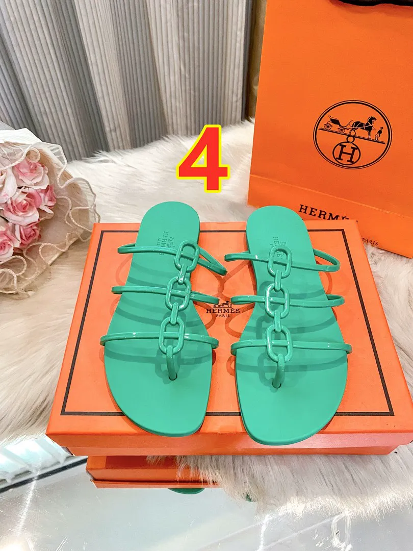 Hermes 6239 תמונה 6