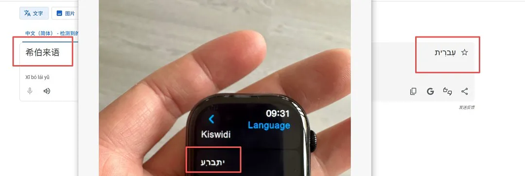Apple 6349 תמונה 2