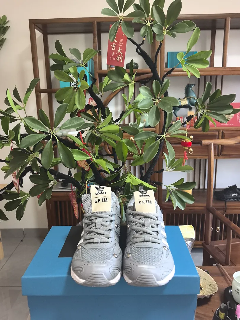 Adidas 6550 תמונה 10