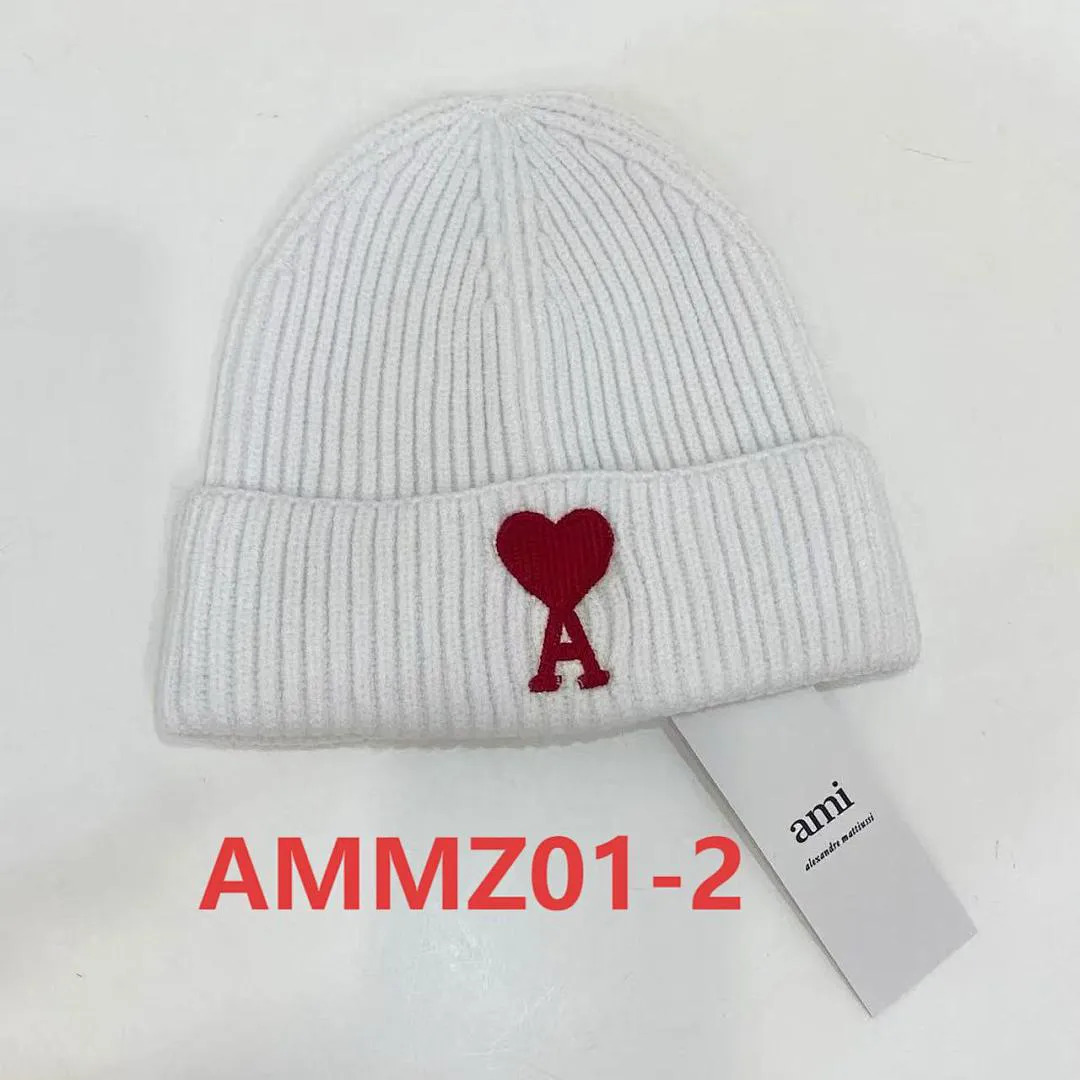 AMI AMMZ01 תמונה 3