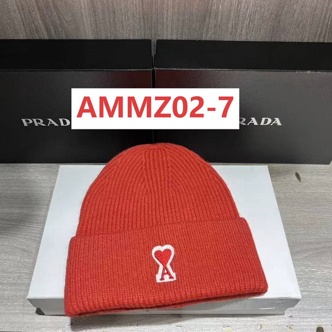 AMI AMMZ02 תמונה 3