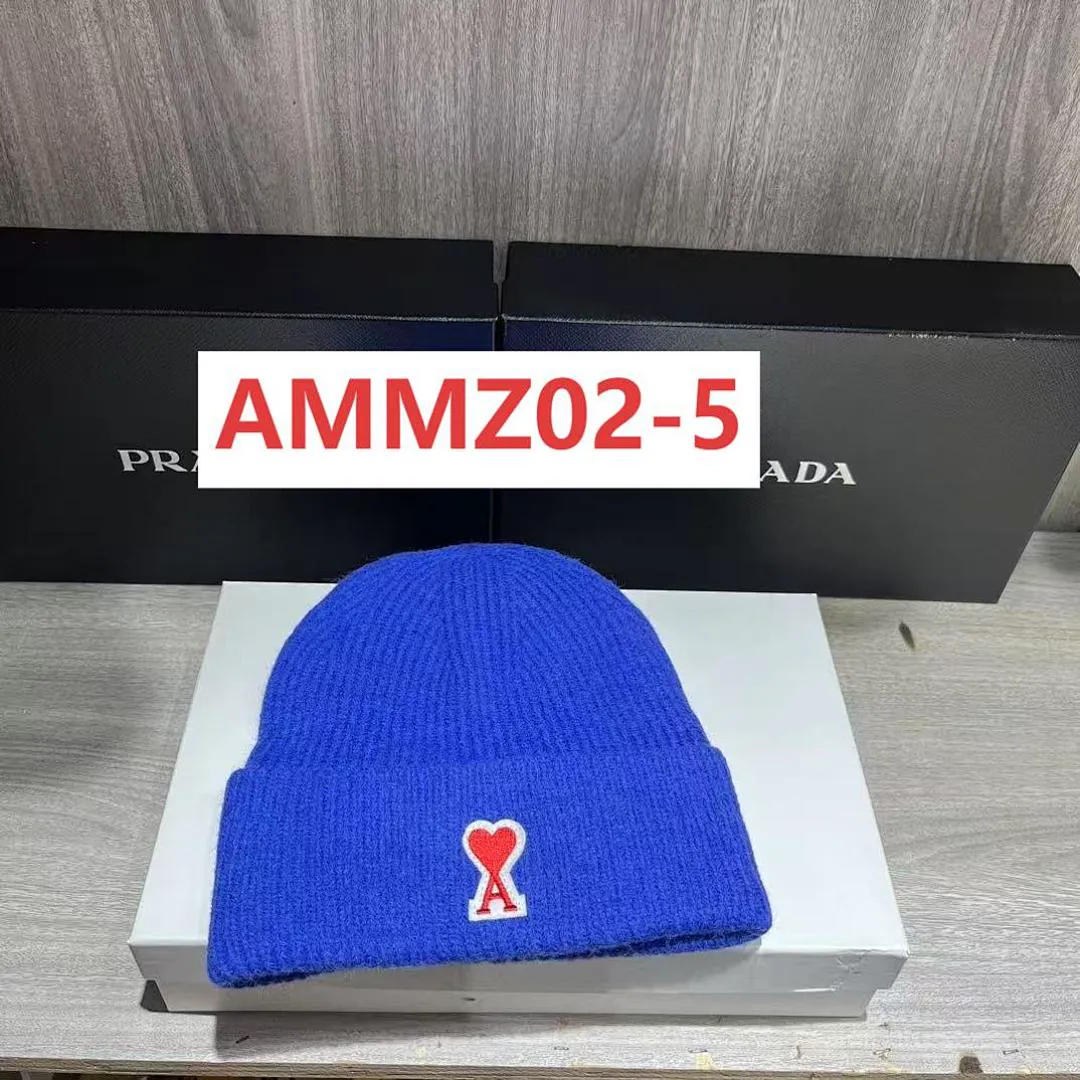 AMI AMMZ02 תמונה 5