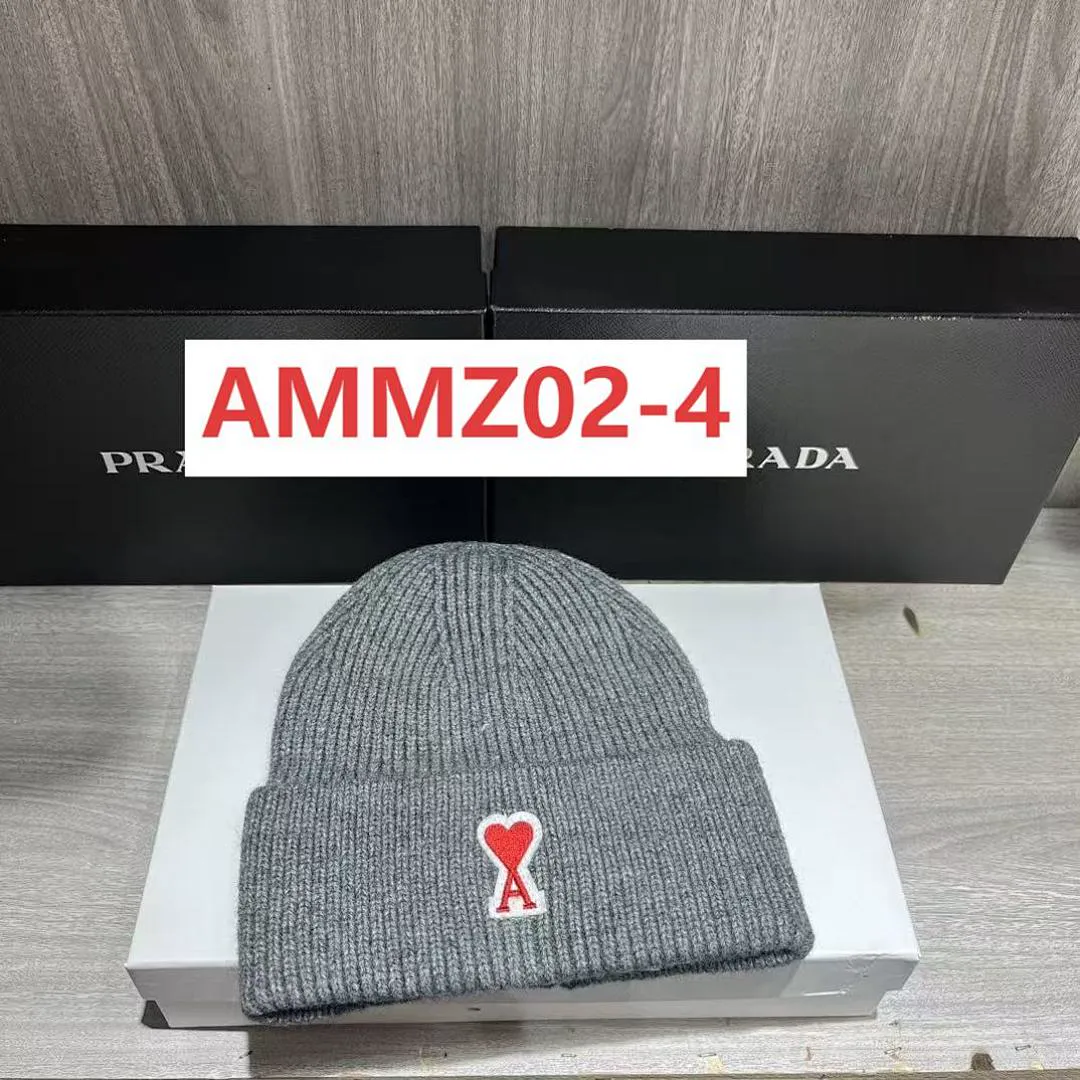 AMI AMMZ02 תמונה 6
