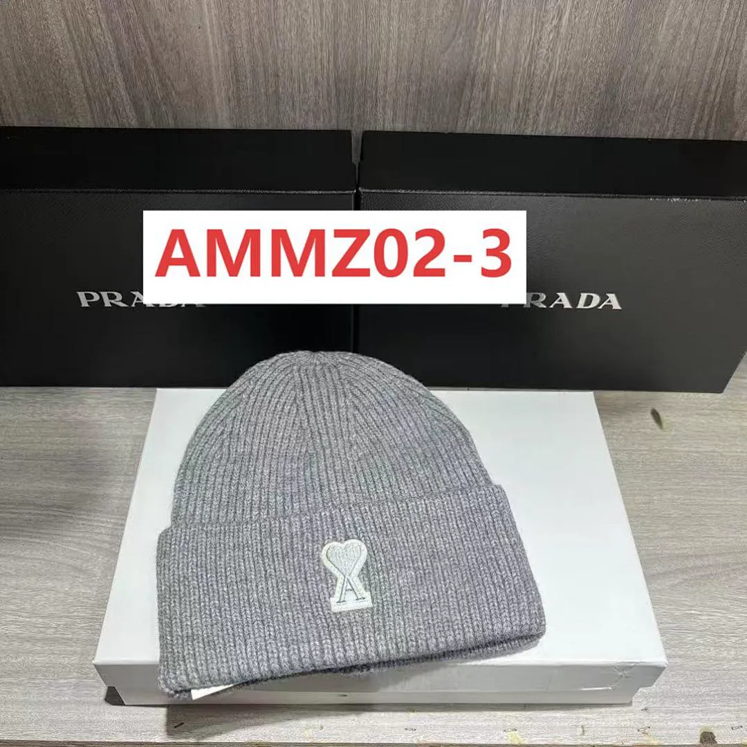 AMI AMMZ02 תמונה 7