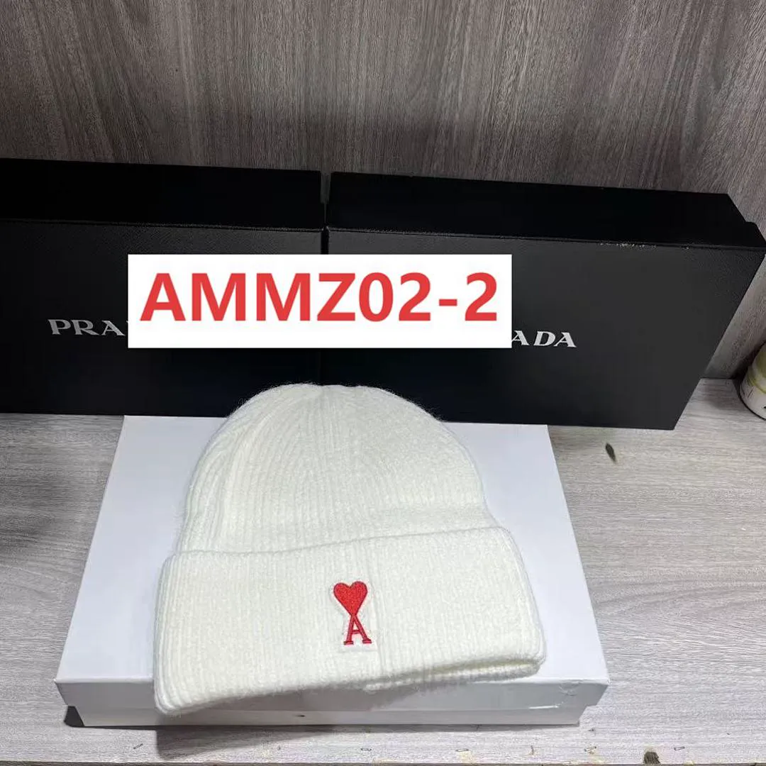 AMI AMMZ02 תמונה 8