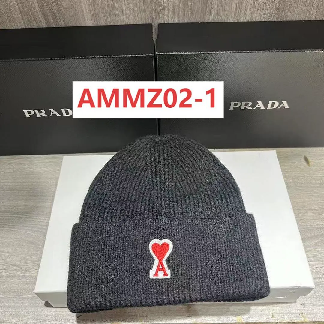 AMI AMMZ02 תמונה 9