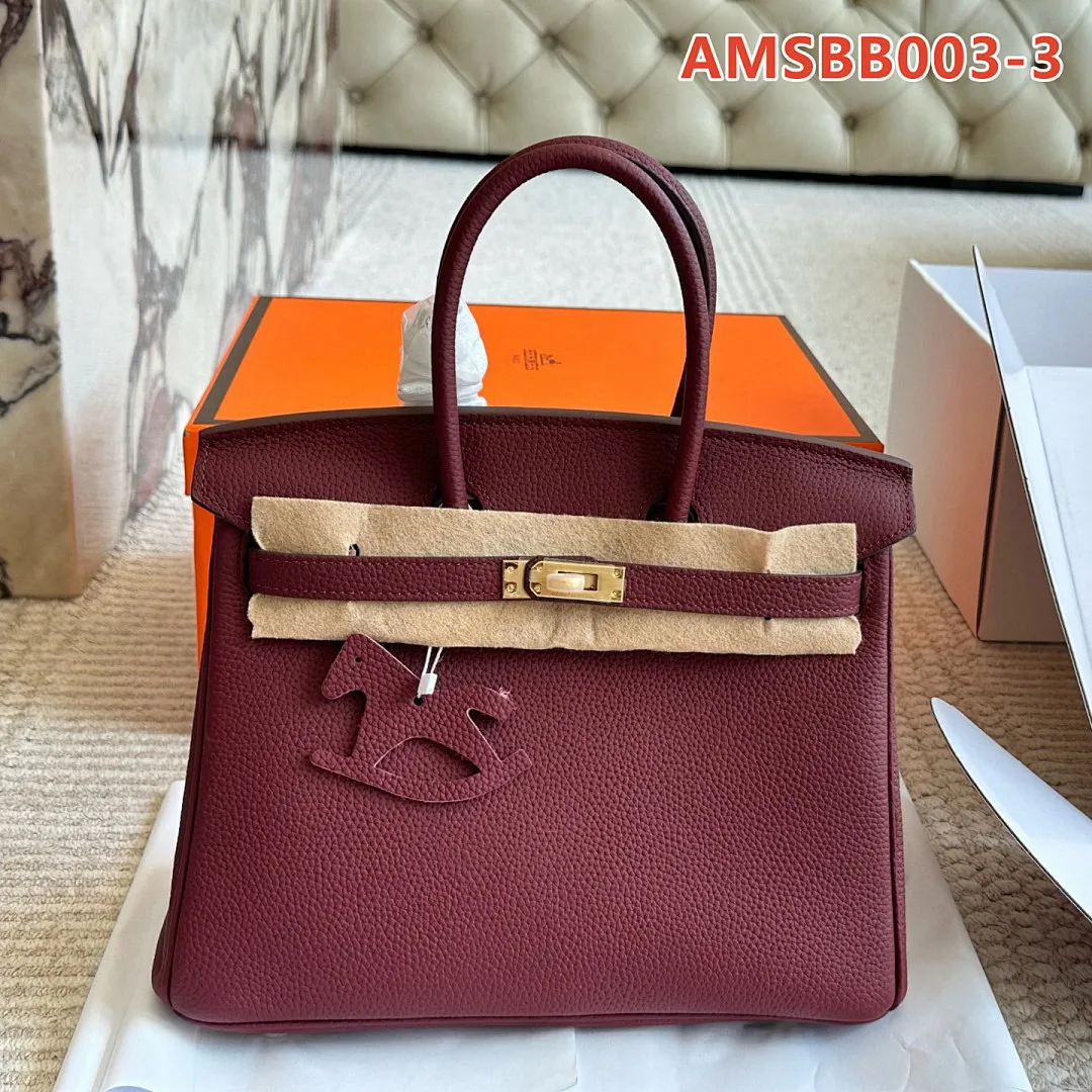 Hermes AMSBB003 תמונה 13