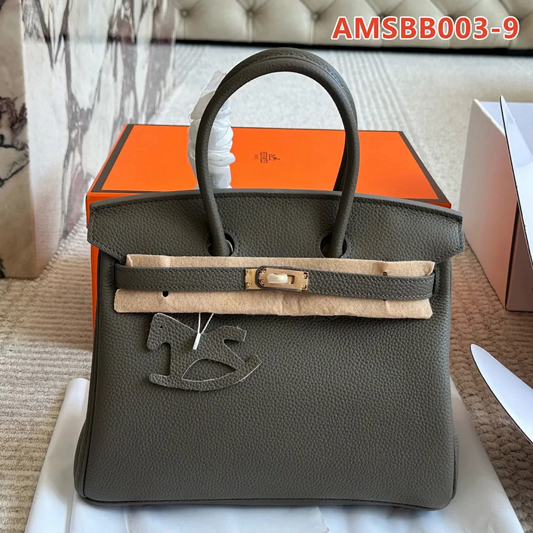 Hermes AMSBB003 תמונה 19