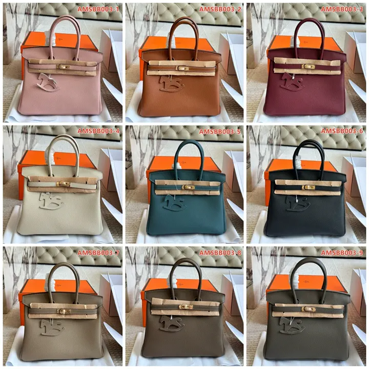 Hermes AMSBB003