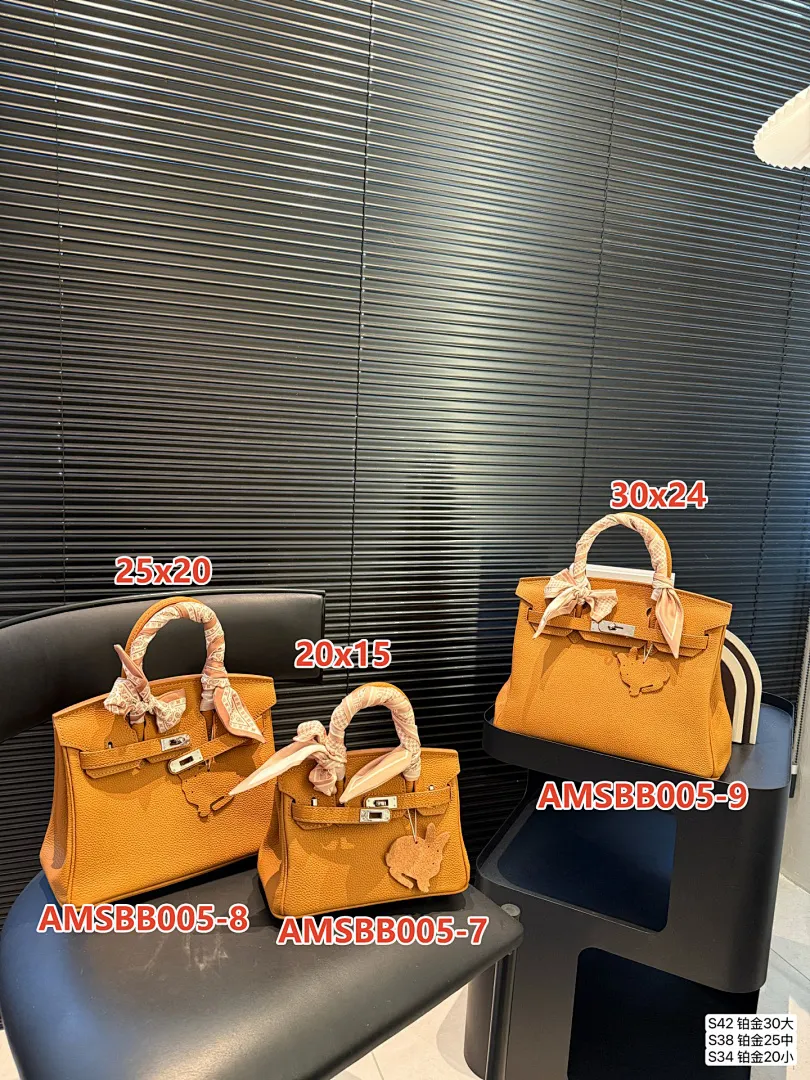 Hermes AMSBB005 תמונה 13