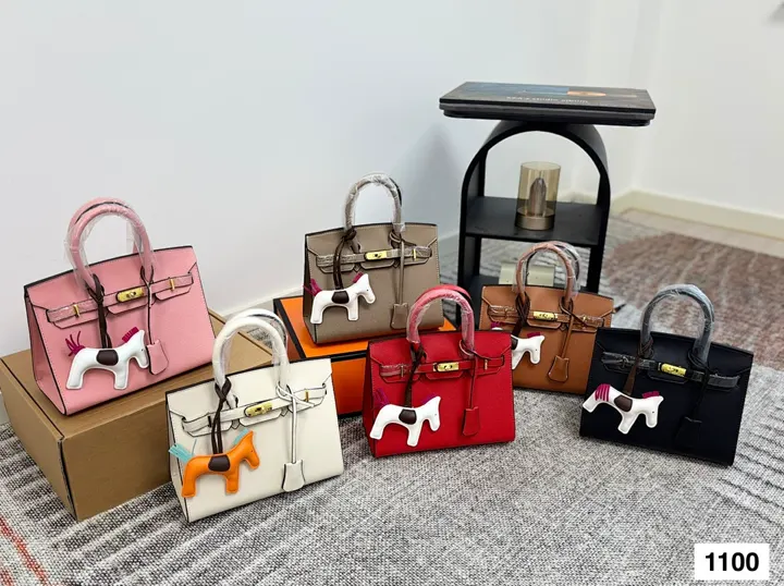 Hermes AMSBB006