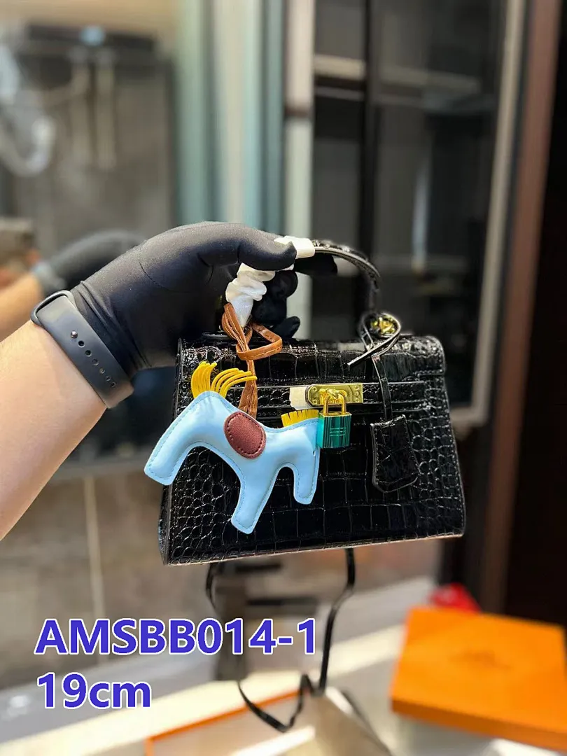 Hermes AMSBB014 תמונה 10