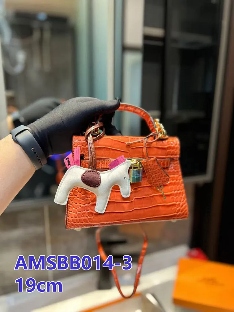 Hermes AMSBB014 תמונה 12