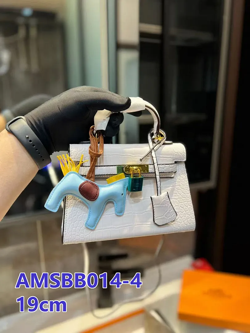 Hermes AMSBB014 תמונה 13