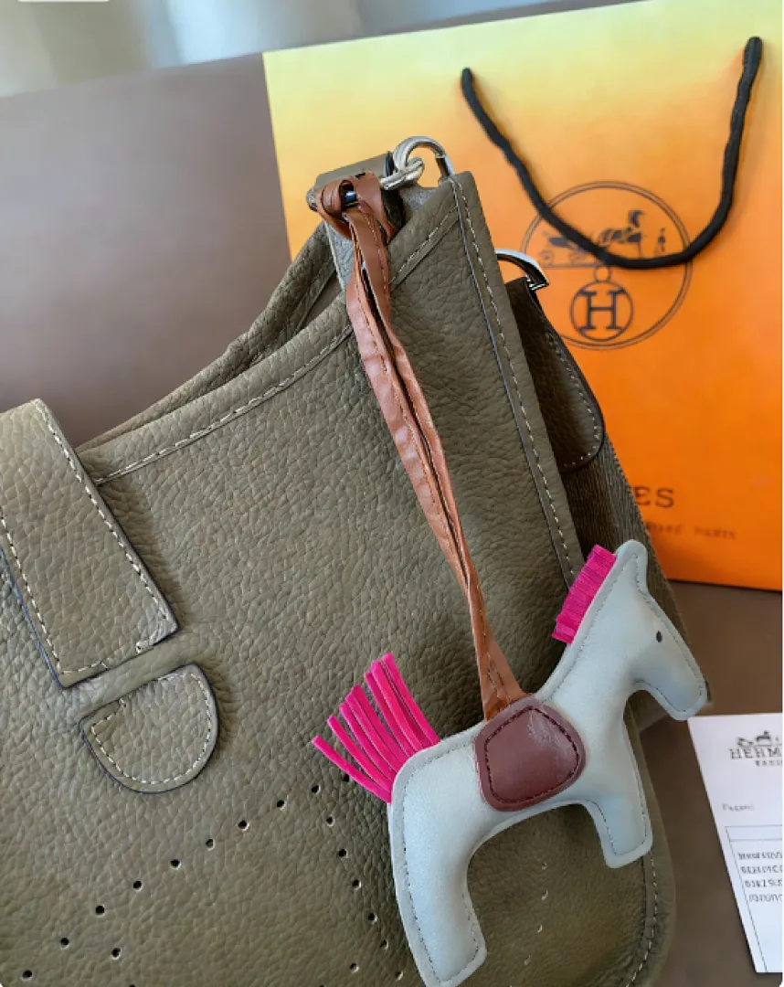 Hermes AMSBB017 תמונה 2