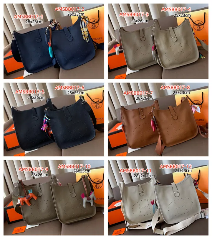 Hermes AMSBB017