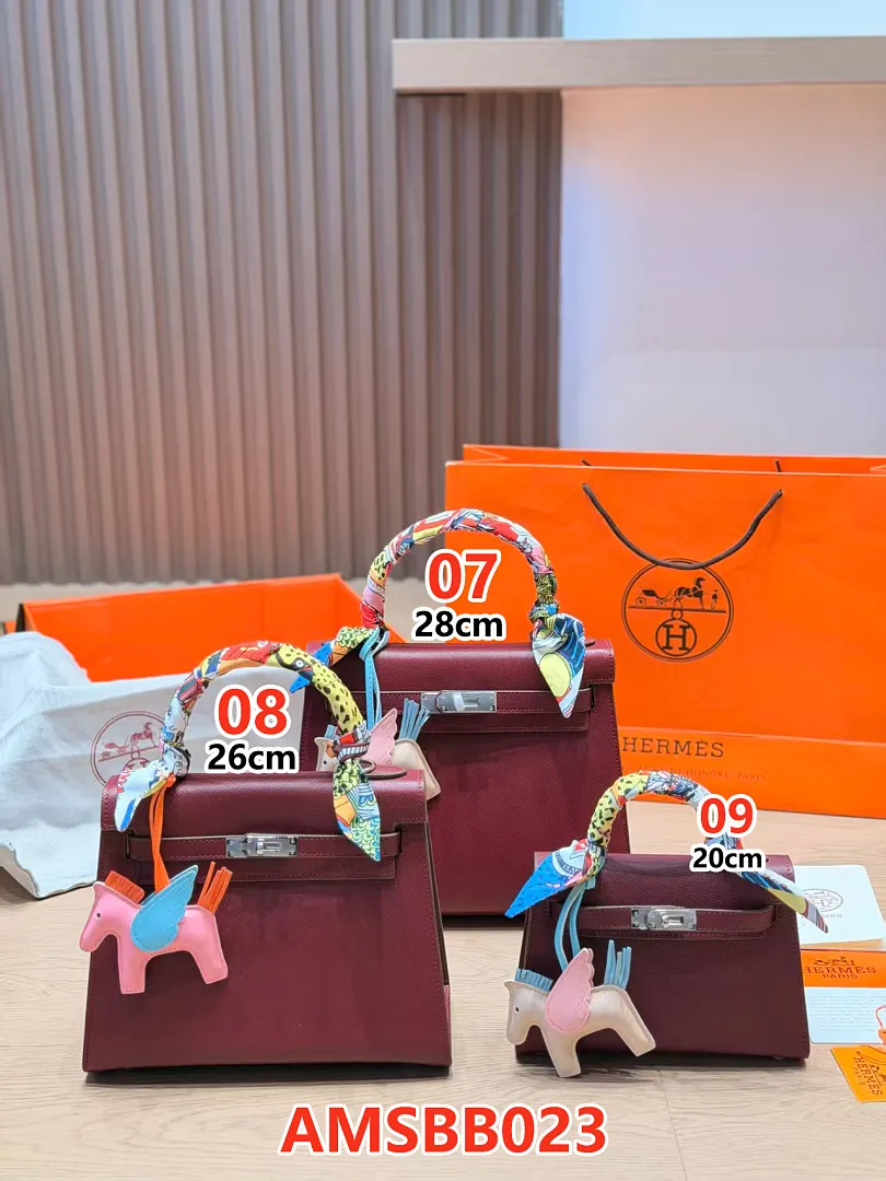 Hermes AMSBB023 תמונה 12