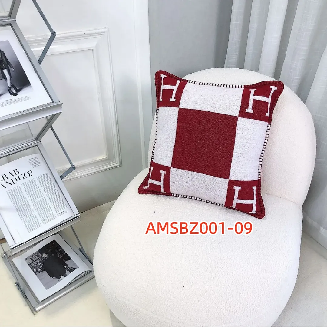 Hermes AMSBZ001 תמונה 17